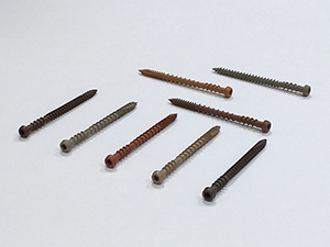 Coated Screws